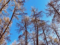 -硗碛藏寨·神木垒景区