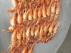 钓虾-小象钓虾·营地烧烤(洛溪店)