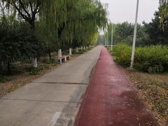 -绿堤公园