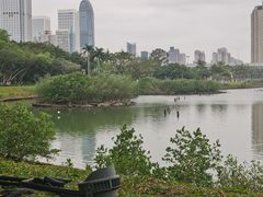 -万绿园