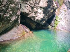 -牛背梁国家森林公园