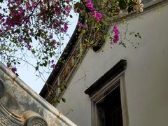 -深圳国际园林花卉博览园