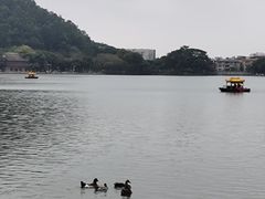 -顺峰山公园