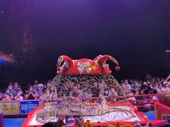 -广州长隆国际大马戏