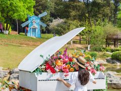 -铁山坪森林公园