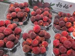 -叶氏兄弟果业(文二西路店)
