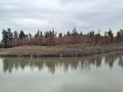 -漩门湾国家湿地公园