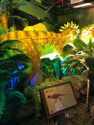 -恐龙探索乐园(磁器口店)