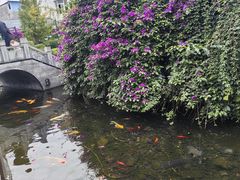 -九尺赵老四鲜鹅肠火锅