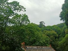 -潭柘寺景区