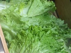 -海天牧场(银川商城店)