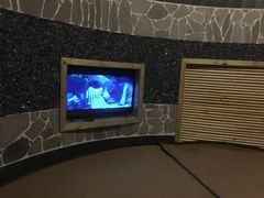 -纽斯洗浴SPA(三墩店)