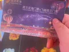 -荷兰花海