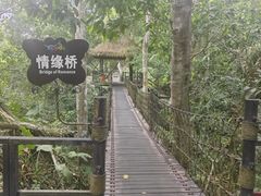 -呀诺达热带雨林