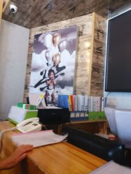-芒果树国际儿童摄影(月亮河店)