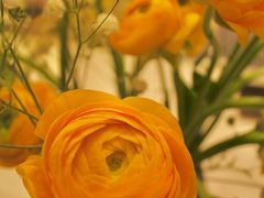 -双季花艺园艺市场(浦东店)