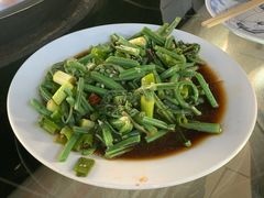 凉拌野菜-姥家大锅台水库渔家