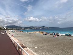 -熊猫川菜馆 panda chine