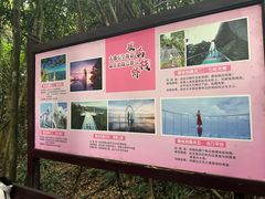 -亚龙湾热带天堂森林公园