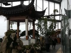 -上海中心大厦