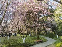 -南山植物园
