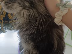 -平行世界·猫咖(首经贸店)