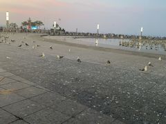 -东港音乐喷泉广场