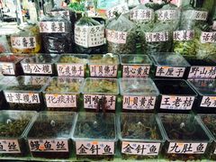 -大湾区中央湿地公园-十九涌