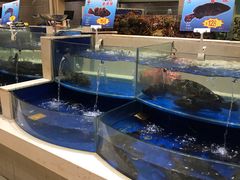 水产区-海景壹号大酒店(滨湖店)