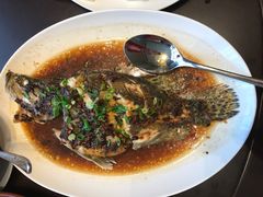 -上海嘉定喜来登酒店