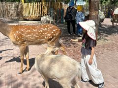 -水上乐园·欢乐世界