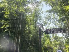 -海南热带野生动植物园