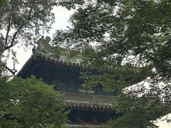 -北京国子监胡同