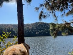 -南京市无想山景区