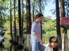 -重庆彩云湖湿地公园