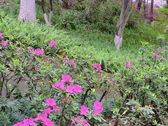 -蟹山公园