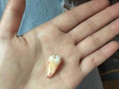 -西安交通大学口腔医院(主院区)