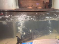 -上名堂·鱼头好吃(体育场路店)