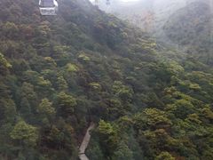 -天坛大佛