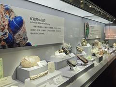 -湖南省地质博物馆