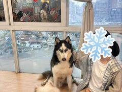 -喵小馆·猫咖狗咖猪咖·饮品店