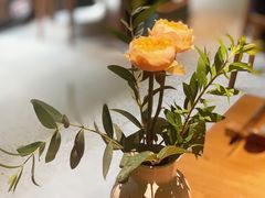 -天水蔬食料理(树德之光店)