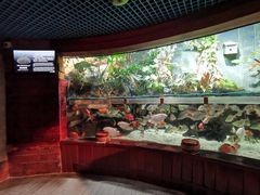 -太平洋海底世界