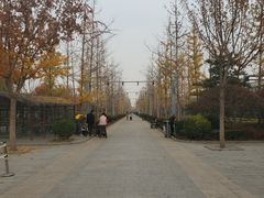 -南宫五洲植物乐园