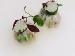 -觀芷隐轩