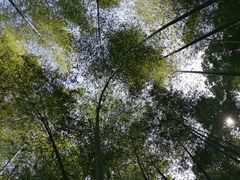 -同里国家湿地公园
