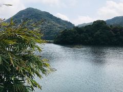 -广州市石门国家森林公园