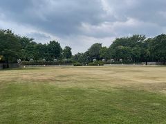 -海南清水湾莱佛士酒店