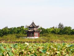 -上海海湾国家森林公园