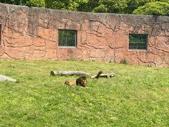 -无锡动物园·太湖欢乐园